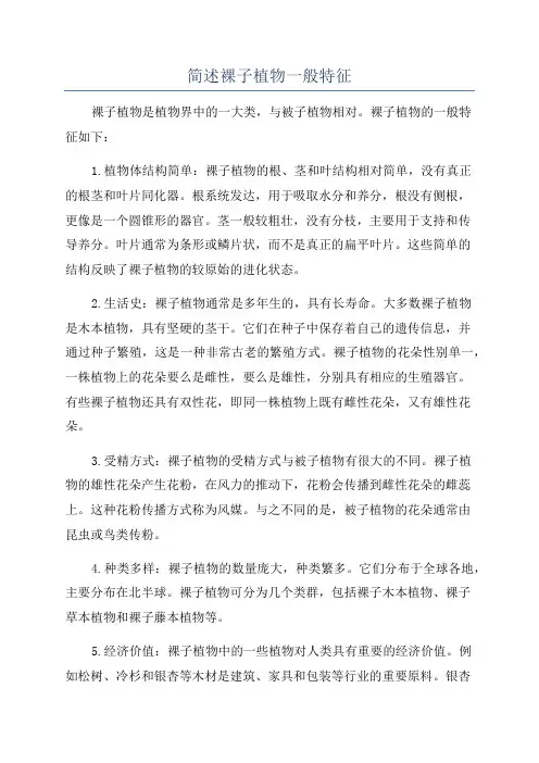 简述裸子植物一般特征