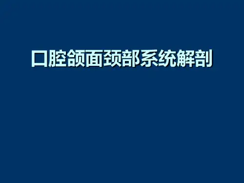 口腔颌面颈部系统解剖