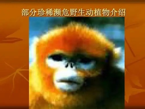 部分珍稀濒危野生动植物介绍