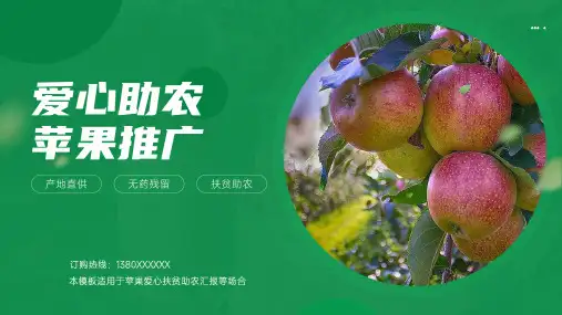 爱心助农苹果推广PPT