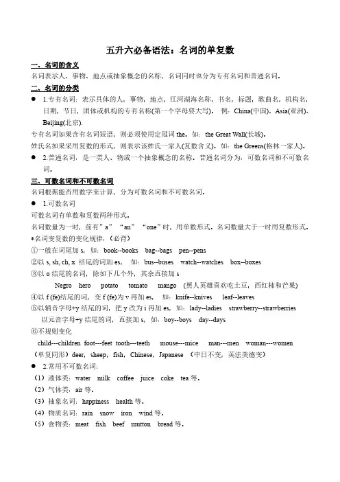 五升六必备语法 名词单复数
