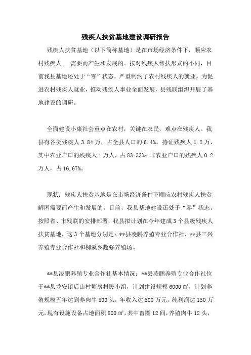 残疾人扶贫基地建设调研报告