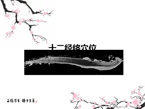 十二经络穴位图鉴