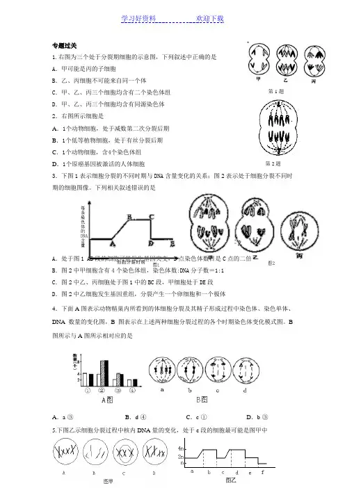 高考二轮复习细胞分裂图像题专题训练