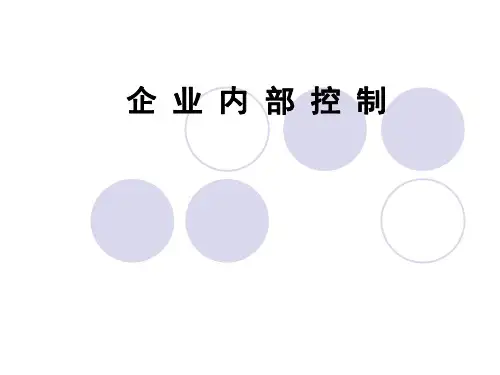 内部控制培训  ppt课件