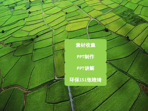 农业固废ppt