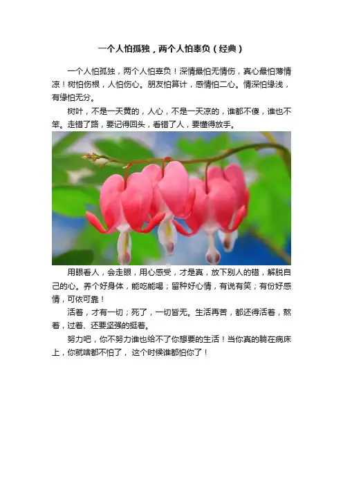 一个人怕孤独，两个人怕辜负（经典）