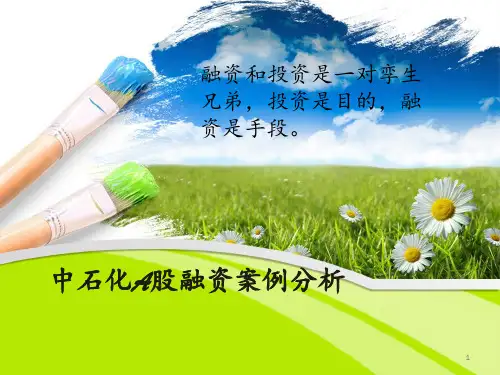 中石化A股融资案例分析 ppt课件