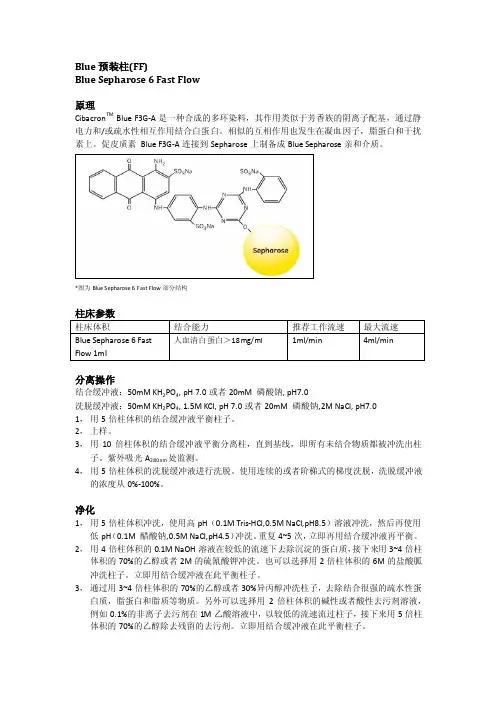 Blue层析柱说明书
