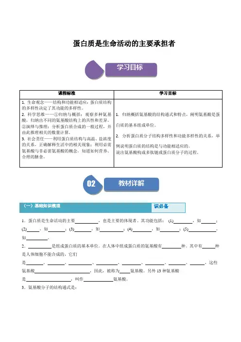 蛋白质是生命活动的主要承担者(原卷版)