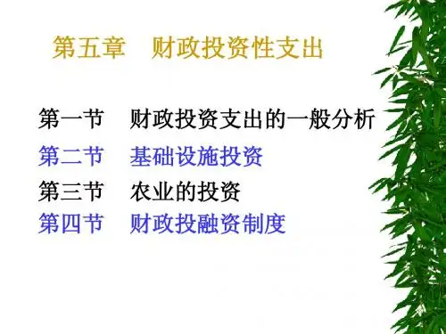 第五章__财政投资性支出