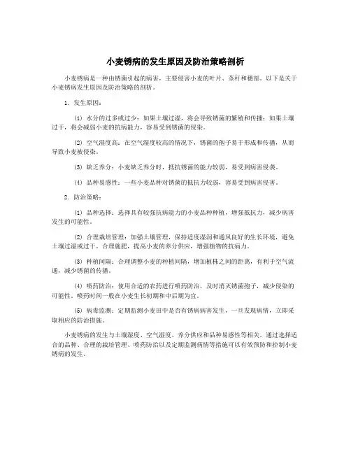 小麦锈病的发生原因及防治策略剖析