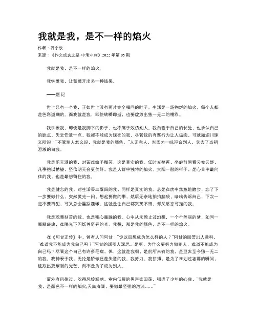 我就是我，是不一样的焰火 