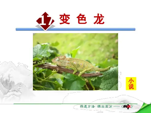 《变色龙》PPT精品课件