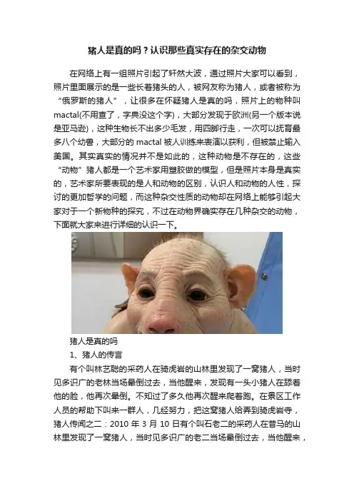 猪人是真的吗？认识那些真实存在的杂交动物