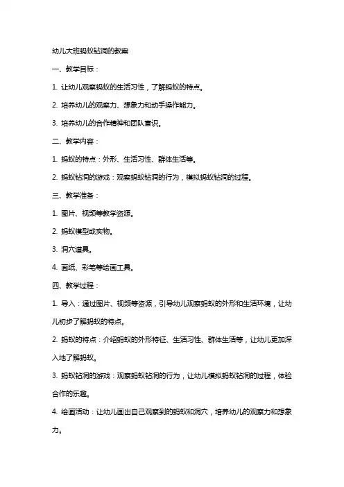 幼儿大班蚂蚁钻洞的教案