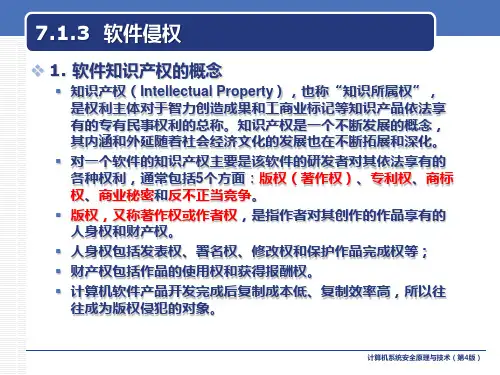 计算机系统安全原理与技术课件7.1.3