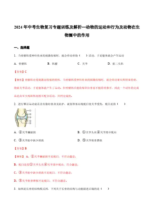 2024年中考生物复习专题训练及解析—动物的运动和行为及动物在生物圈中的作用