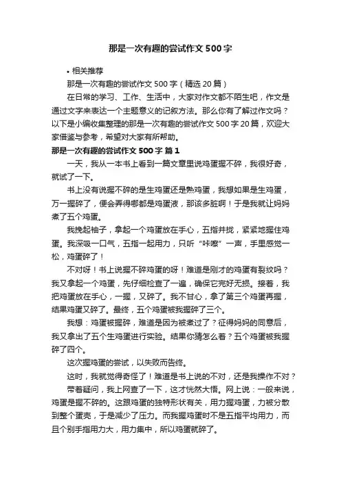 那是一次有趣的尝试作文500字