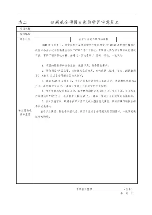 专家验收评审意见表(范本)