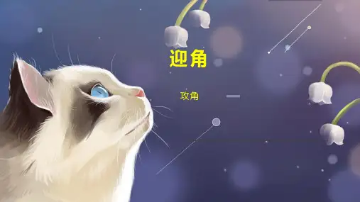 迎角    