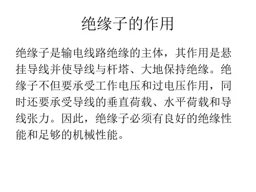 绝缘子