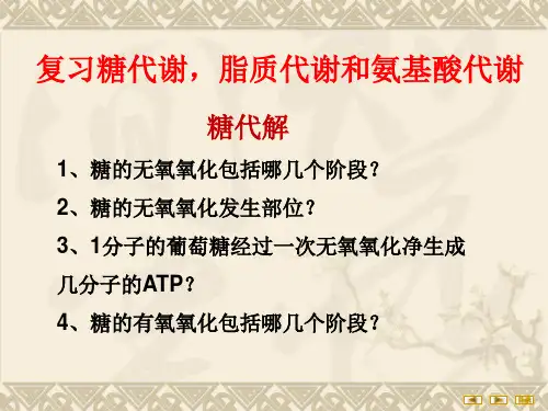 核苷酸代谢