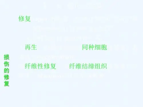 病理-损伤的修复
