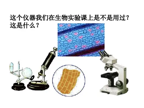 显微镜和望远镜-课件ppt