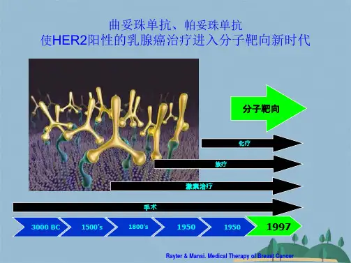 HER阳性复发转移乳腺癌诊疗策略(共48张PPT)