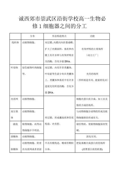 高一生物必修 细胞器之间的分工