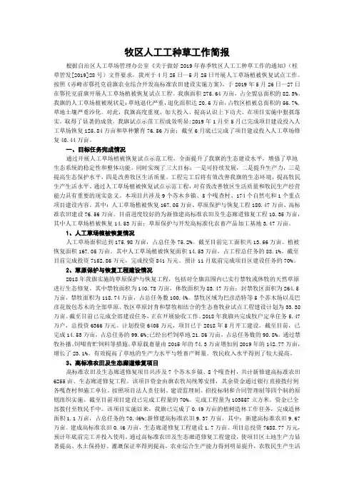 牧区人工工种草工作简报