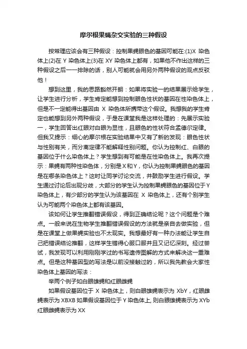 摩尔根果蝇杂交实验的三种假设