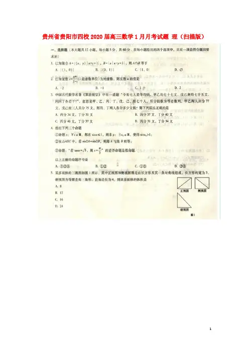 贵州省贵阳市四校2020届高三数学1月月考试题理(扫描版)