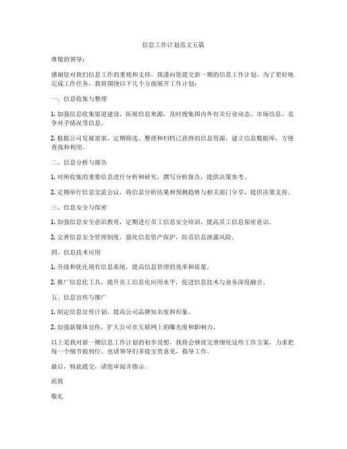 信息工作计划范文五篇