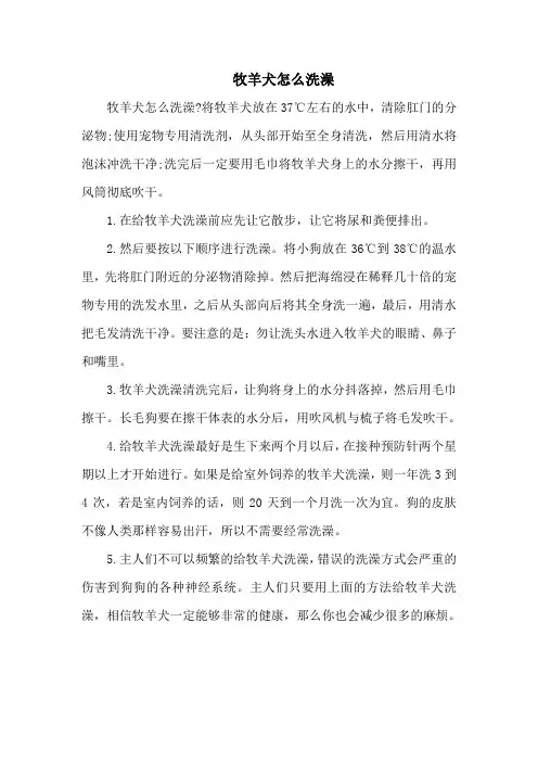 牧羊犬怎么洗澡
