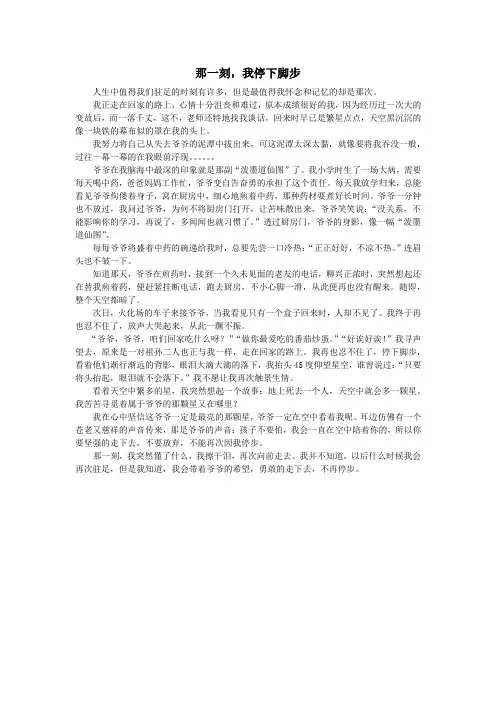 初中作文——话题《那一刻,我停下了脚步》 (11)