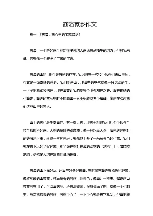 商洛家乡作文