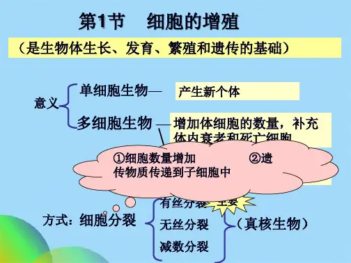 细胞的增殖2(共50张PPT)