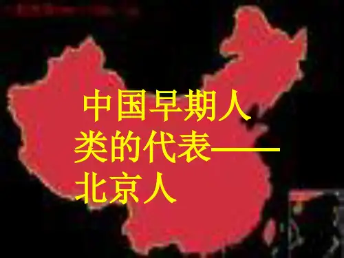 人教部编版初中历史七年级上册第一章第1节中国早期人类的代表——北京人 课件(共36张PPT)