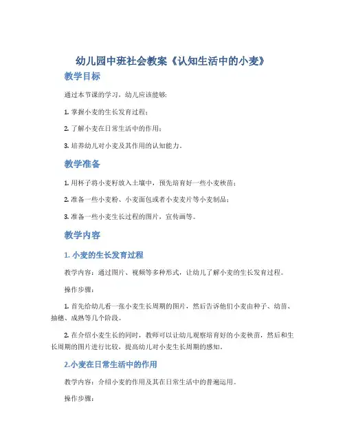 幼儿园中班社会教案《认知生活中的小麦》