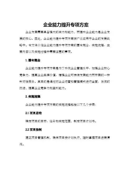 企业能力提升专项方案