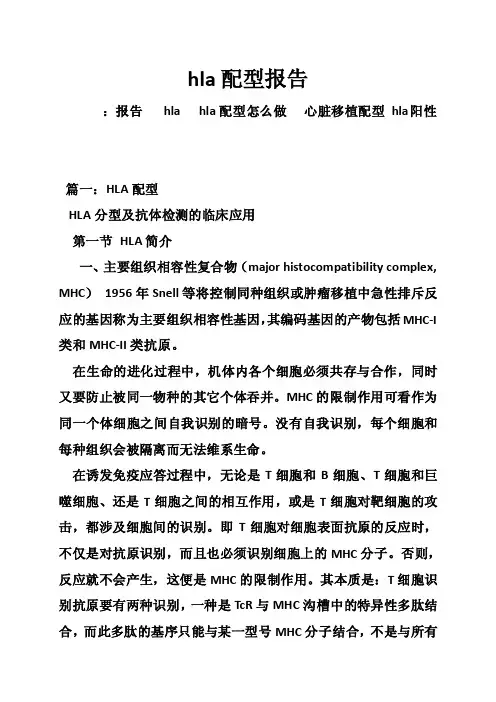 hla配型报告