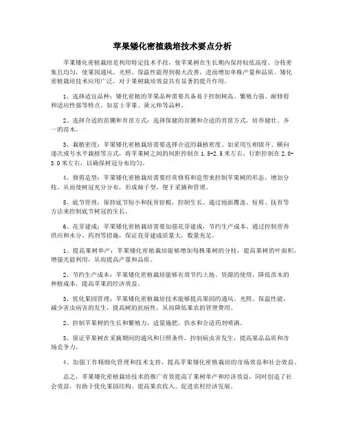 苹果矮化密植栽培技术要点分析
