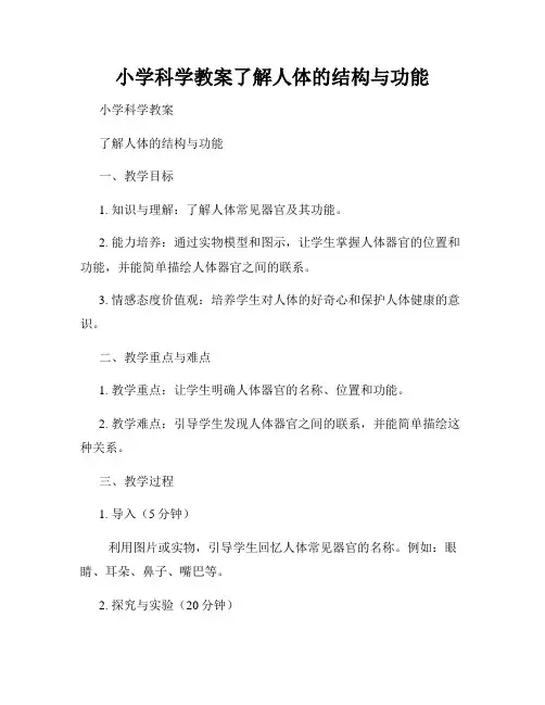 小学科学教案了解人体的结构与功能