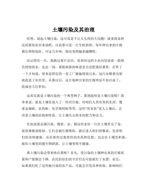 土壤污染及其治理
