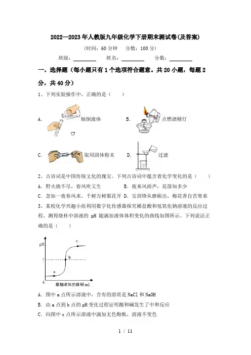 2022—2023年人教版九年级化学下册期末测试卷(及答案)