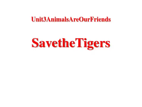 冀教版初中八年级英语下册《Save the Tigers》