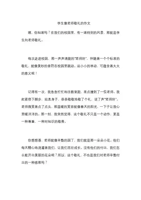 学生像老师敬礼的作文