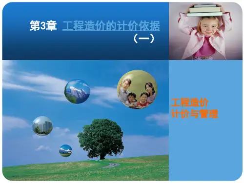 3工程造价计价依据(一)精品资料